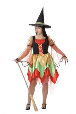 Disfraz de Bruja colores