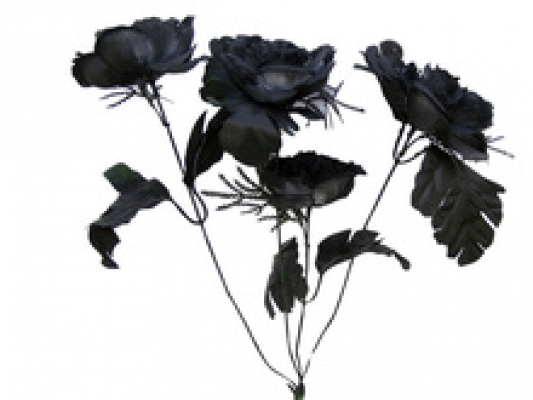 Ramo flores negras
